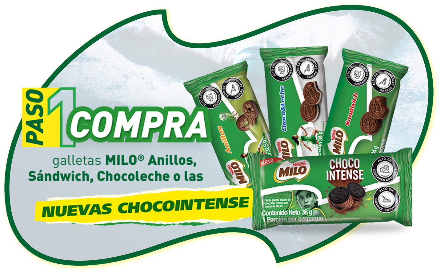 Paso 1