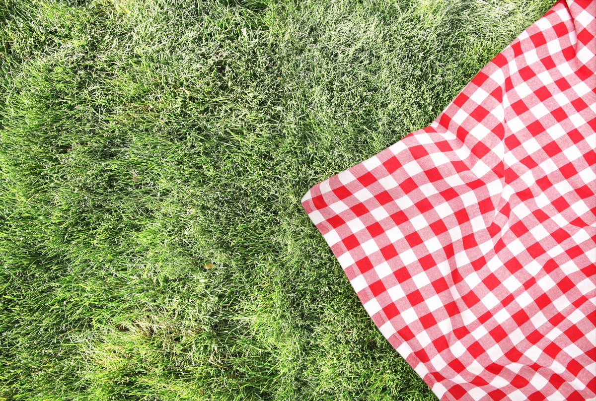 Mantel de cuadros rojos y blancos encima del césped para picnic