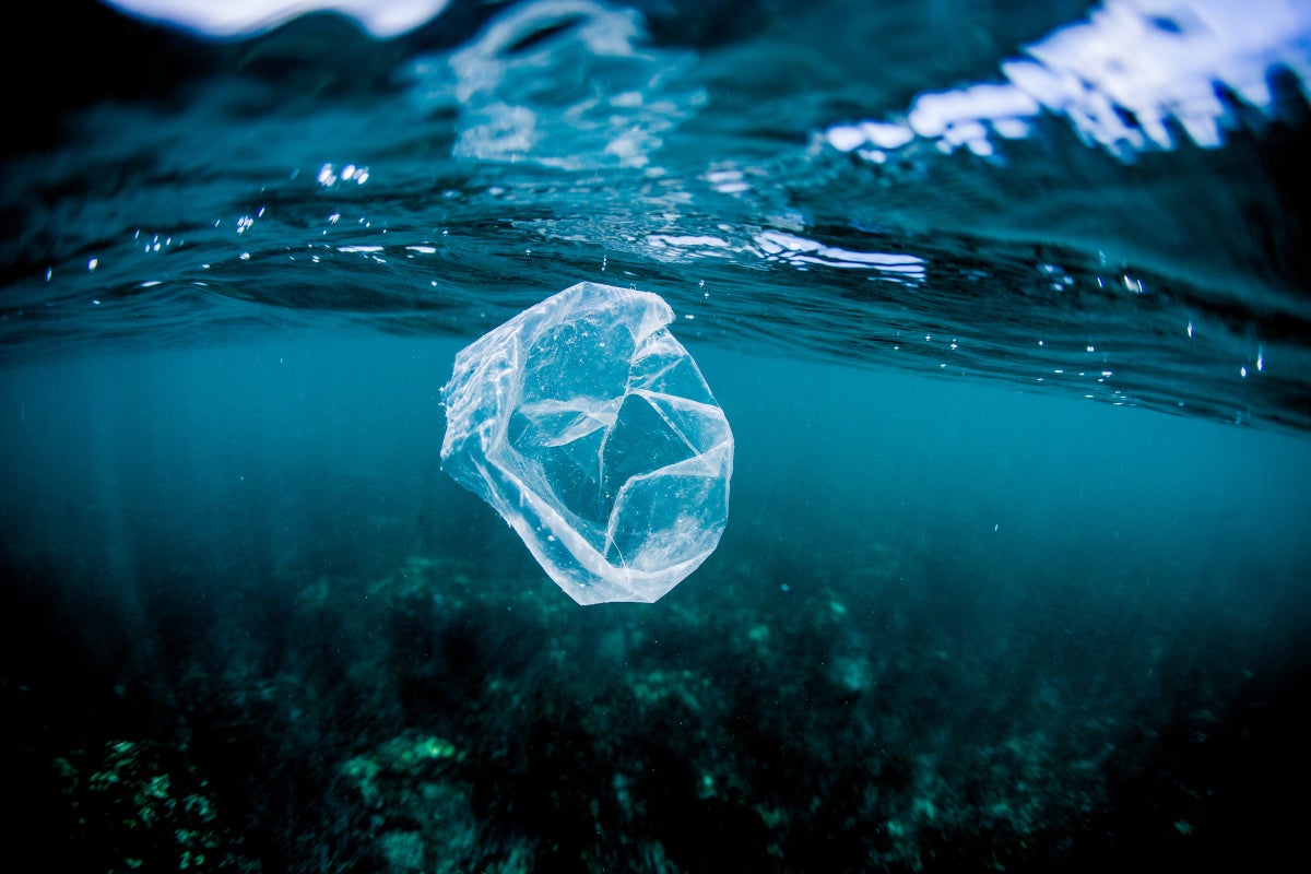 Bolsa plástica dentro del agua