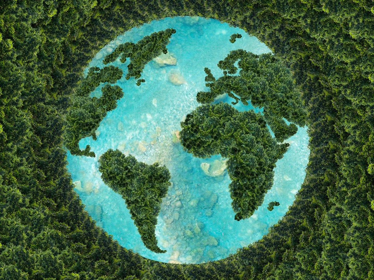 Vista panorámica de un mundo con los árboles simulando el mapa