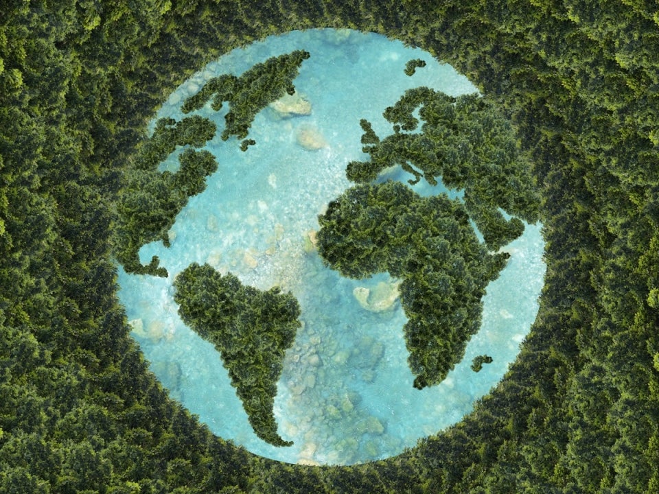 Vista panorámica de un mundo con los árboles simulando el mapa