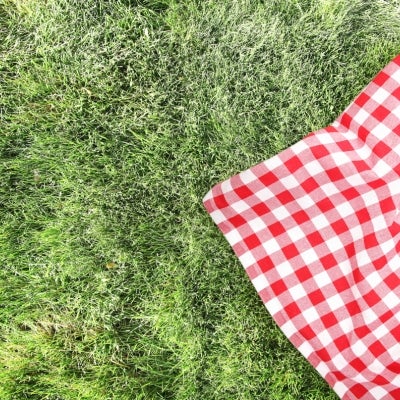 Mantel de cuadros rojos y blancos encima del césped para picnic