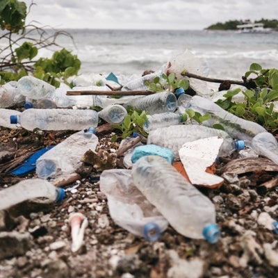 ¿Playas contaminadas?: cuídalas desde tu ciudad