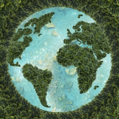 Vista panorámica de un mundo con los árboles simulando el mapa